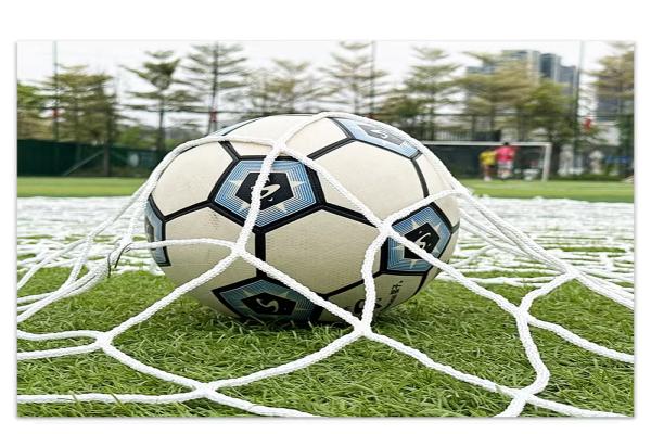 football net