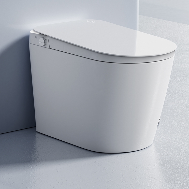 HSJAA Smart Toilet S16