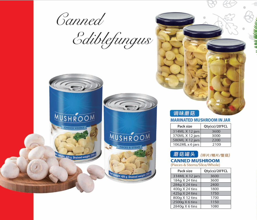 Canned mushroom,champigon(/king oyster mushroom))
