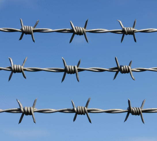 barbed wire