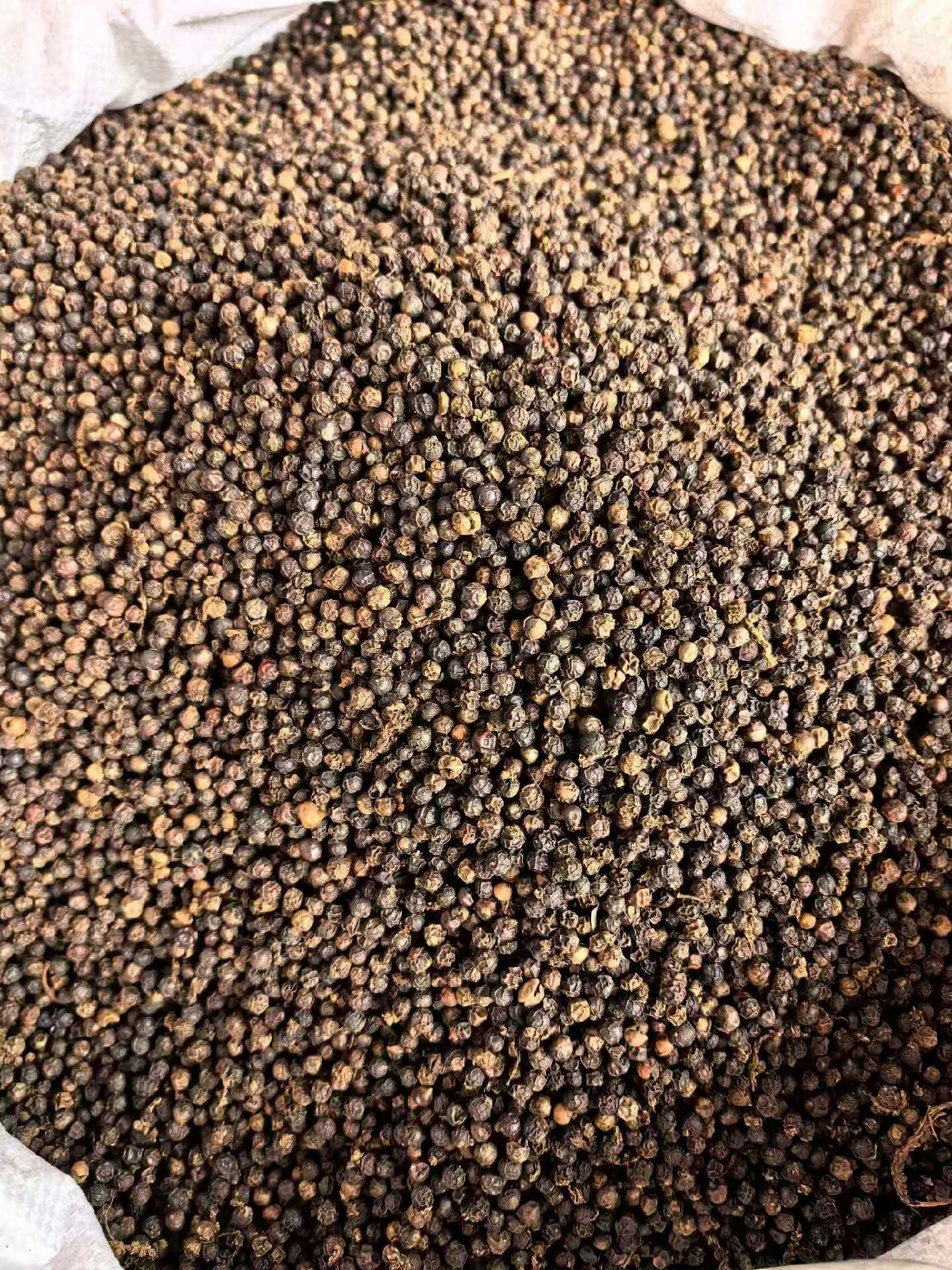 Black peppercondimentspicy