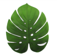 EVA Leaf Placemat