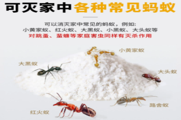 Insecticide ant powder
