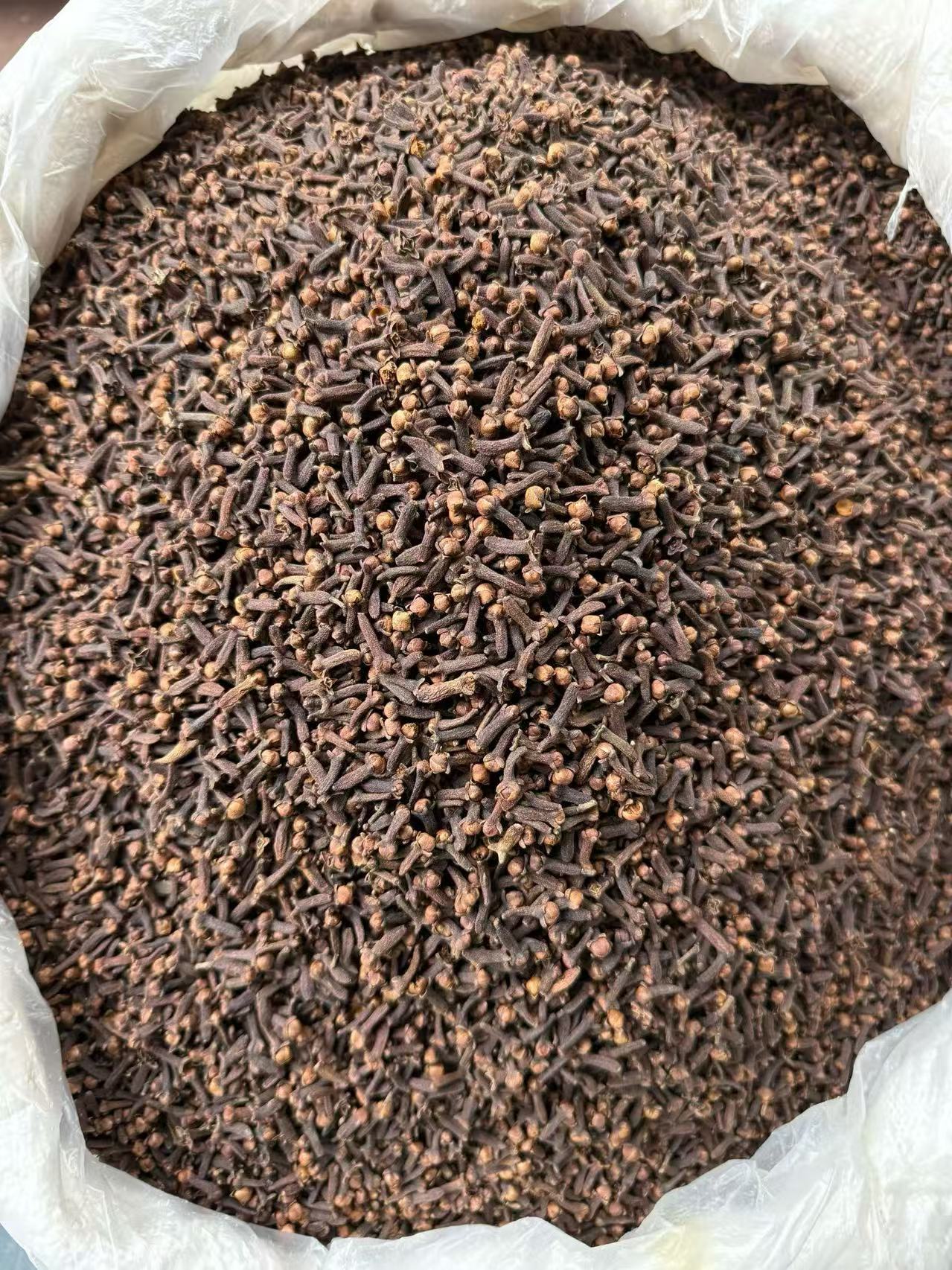 Clove condiment spicy