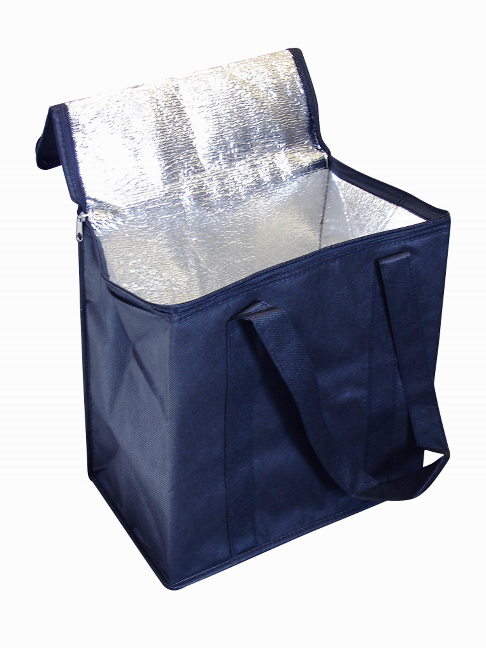 Insulated Bag