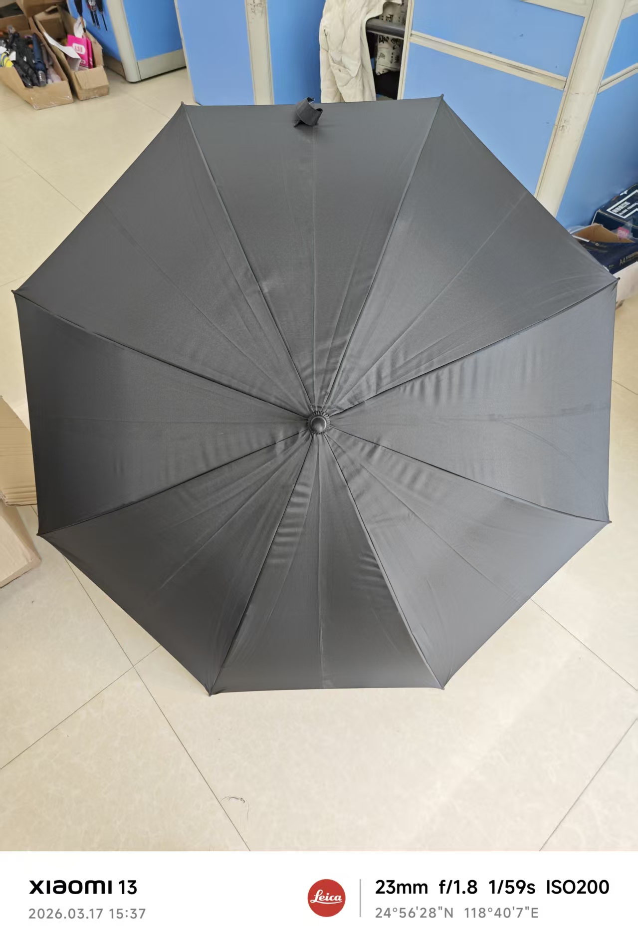 Umbrella