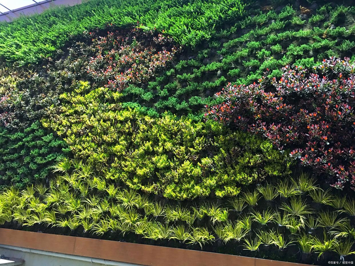 AMI Artificial Plant