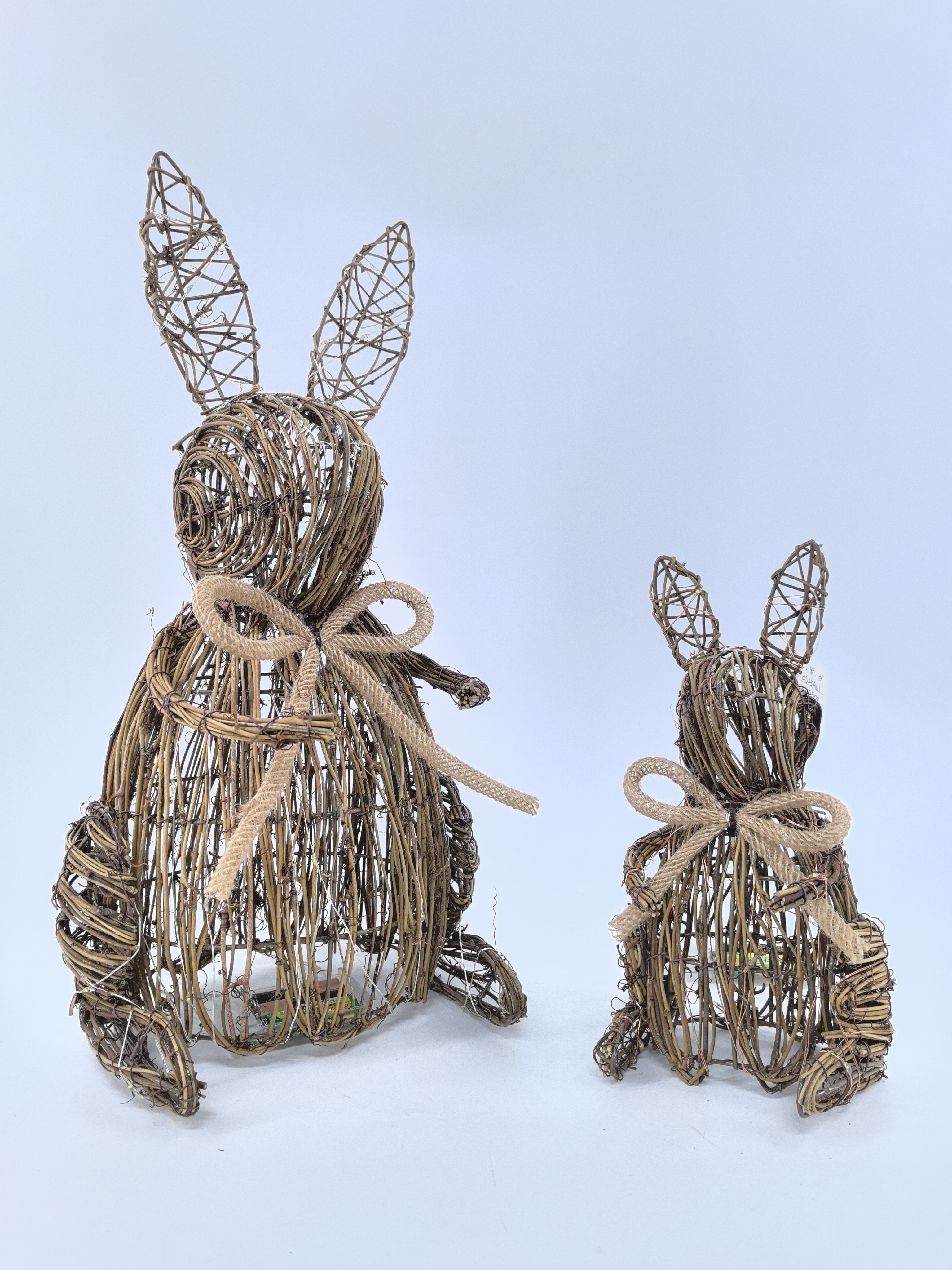 rabbit