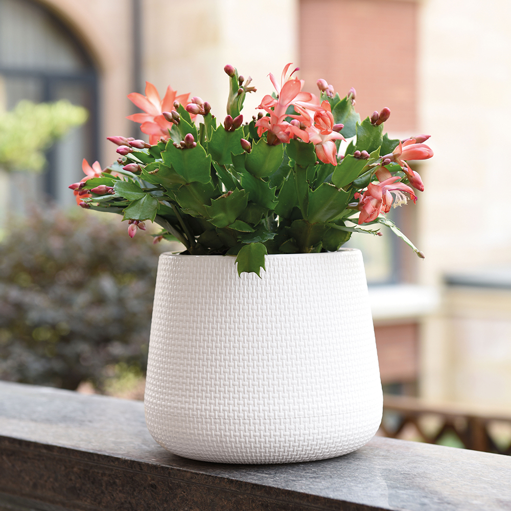 KEDI Plastic flower pot