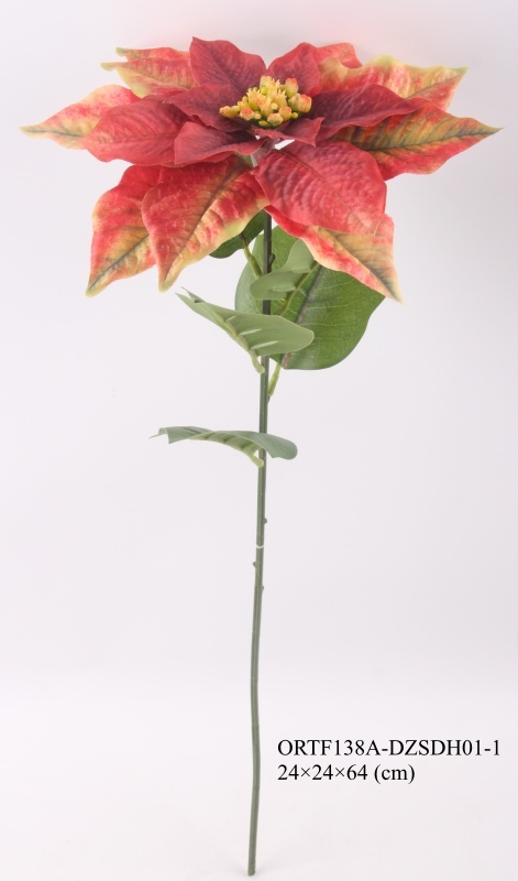 Christmas Flowers