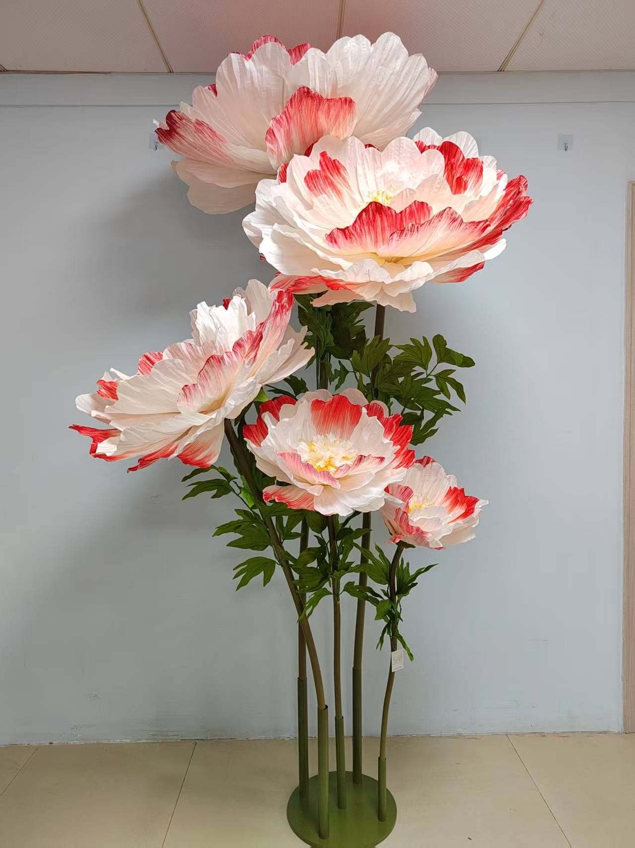 Peony