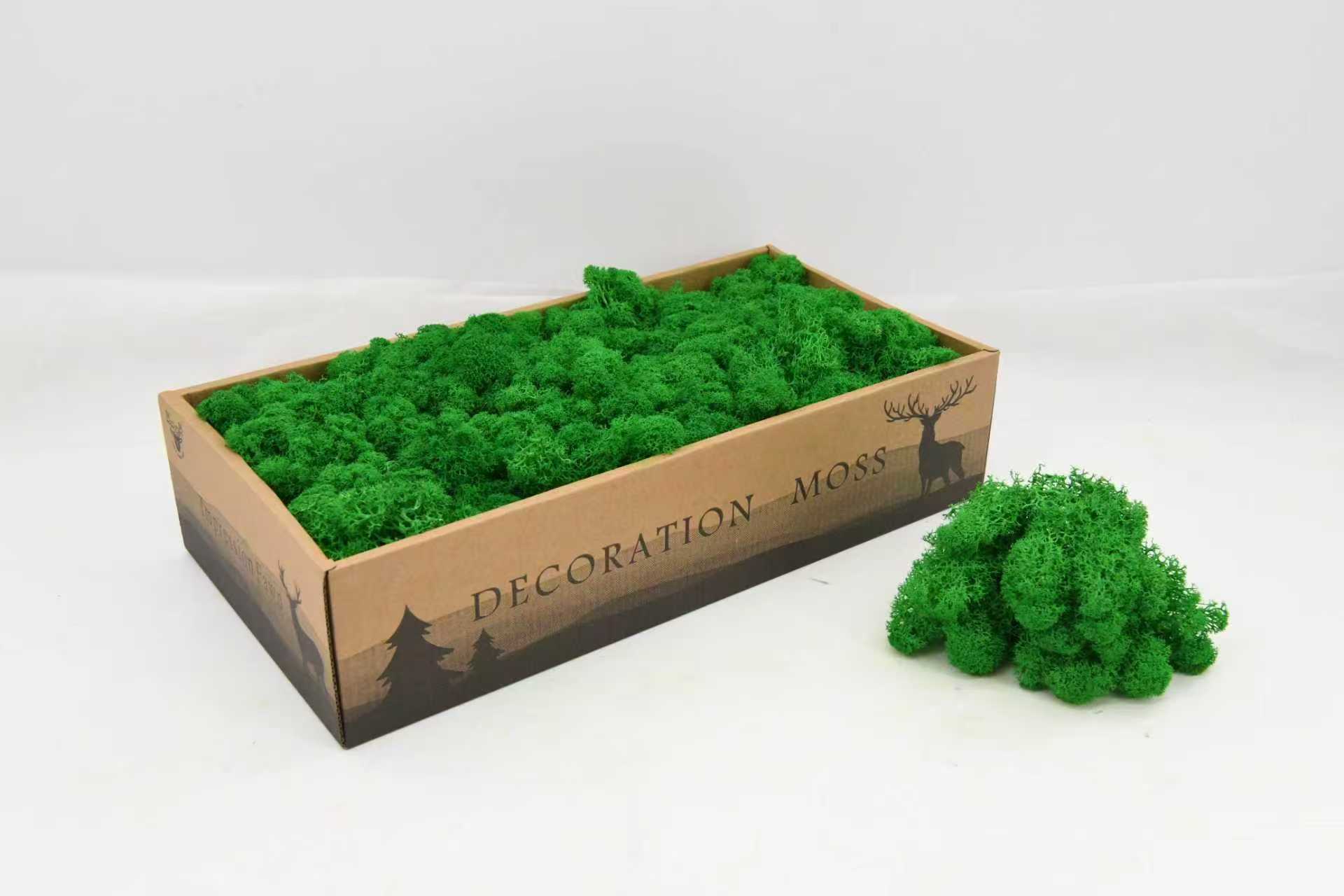 Preserved reindeer moss