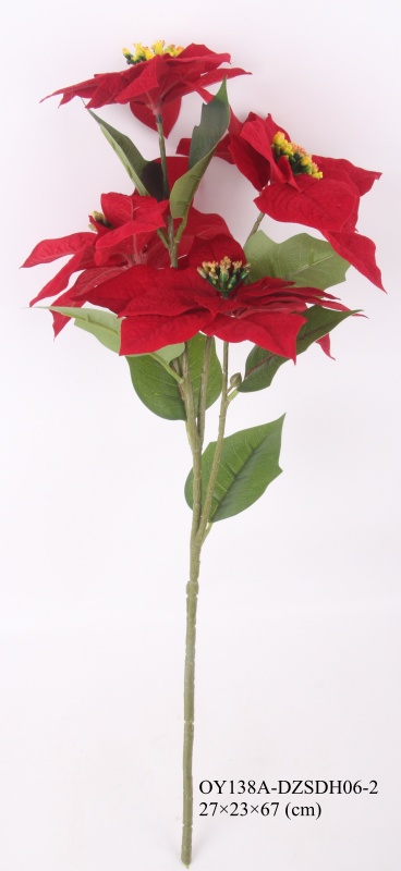 Christmas Flowers