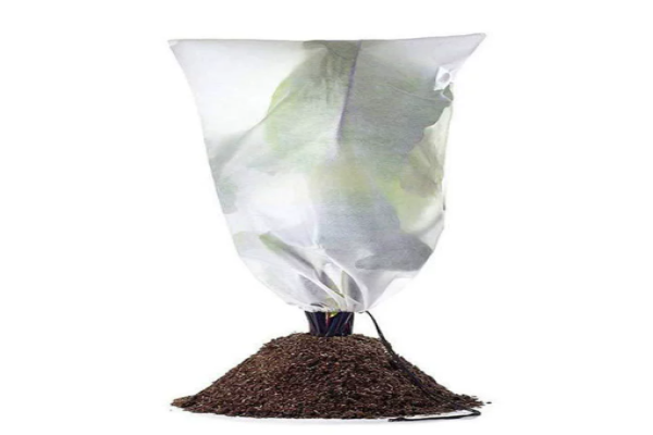 Plant frost cover