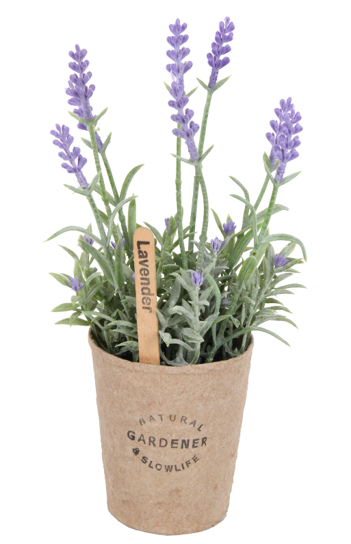 Lavender Pulp Potted Plant