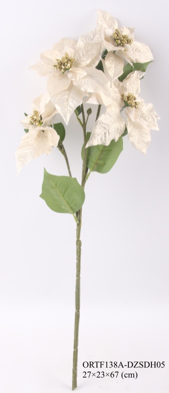 Christmas Flowers