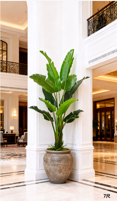 Bird Of Paradise Plant