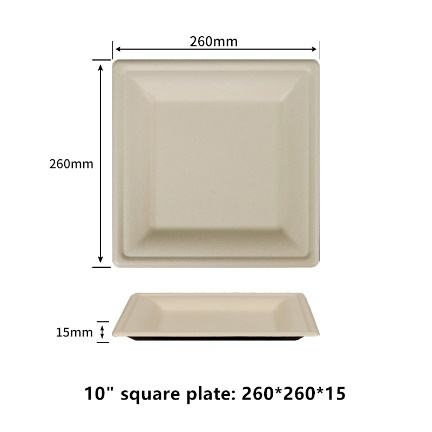 10 inch square plate