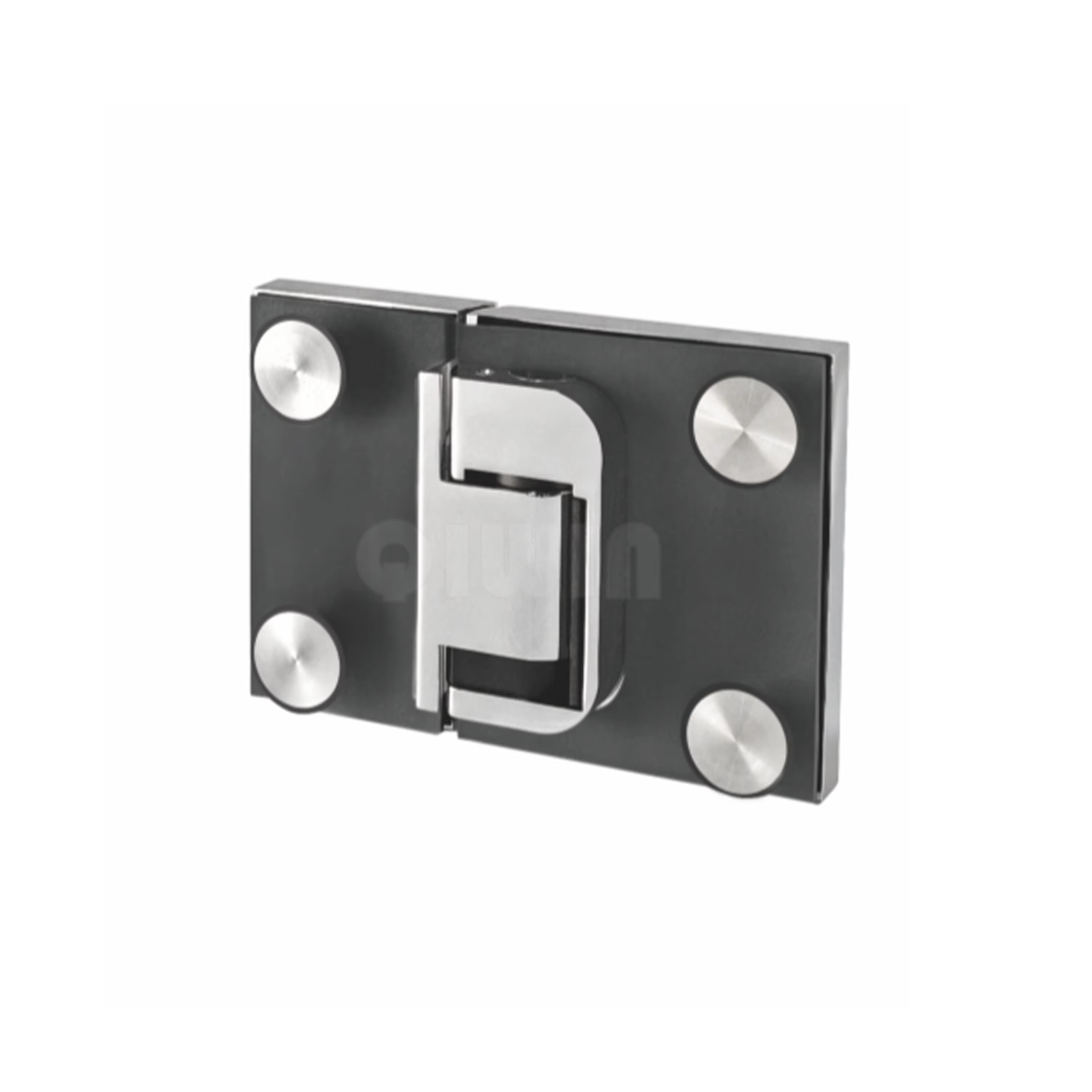 Shower Hinge