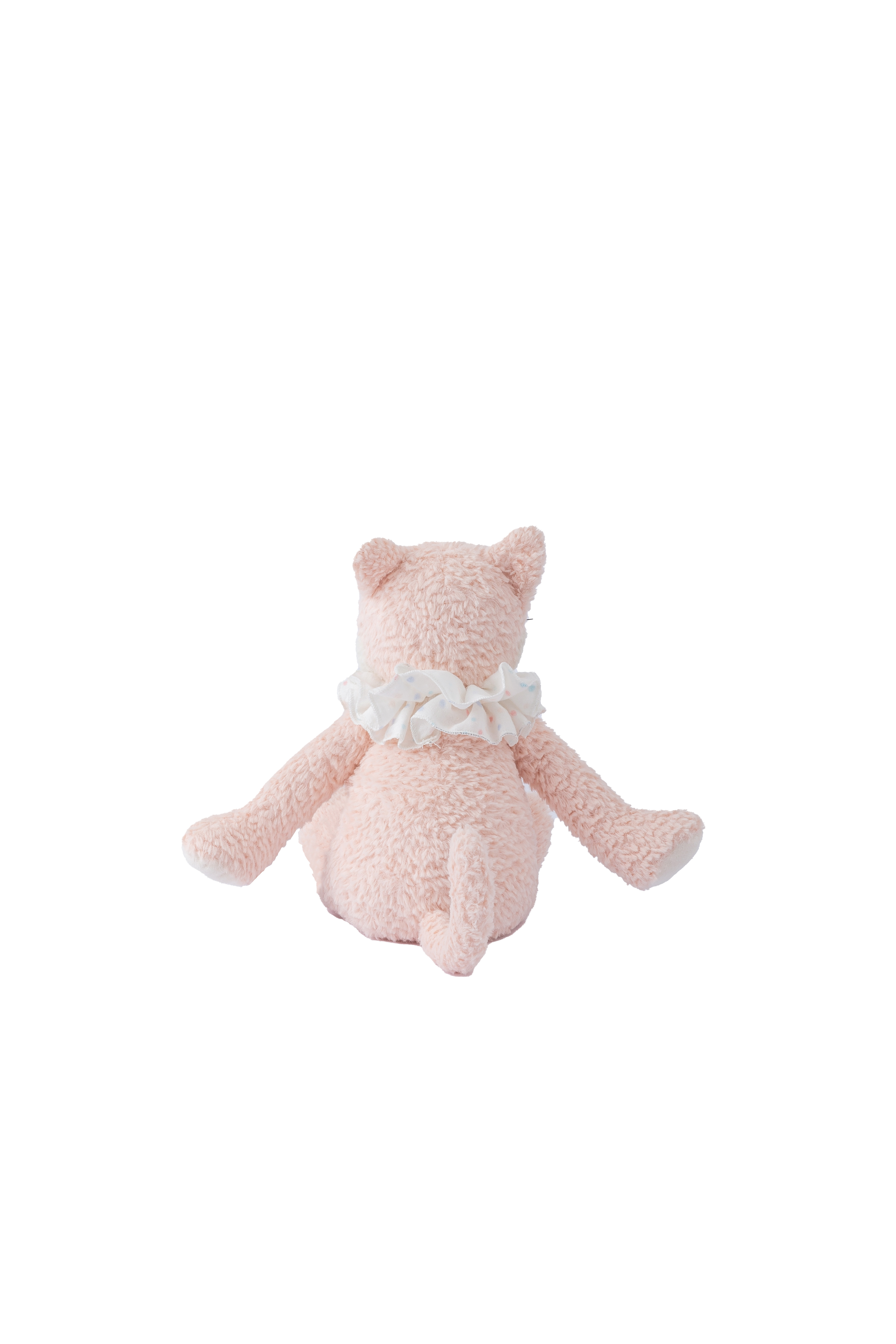 Coral Pink Cat