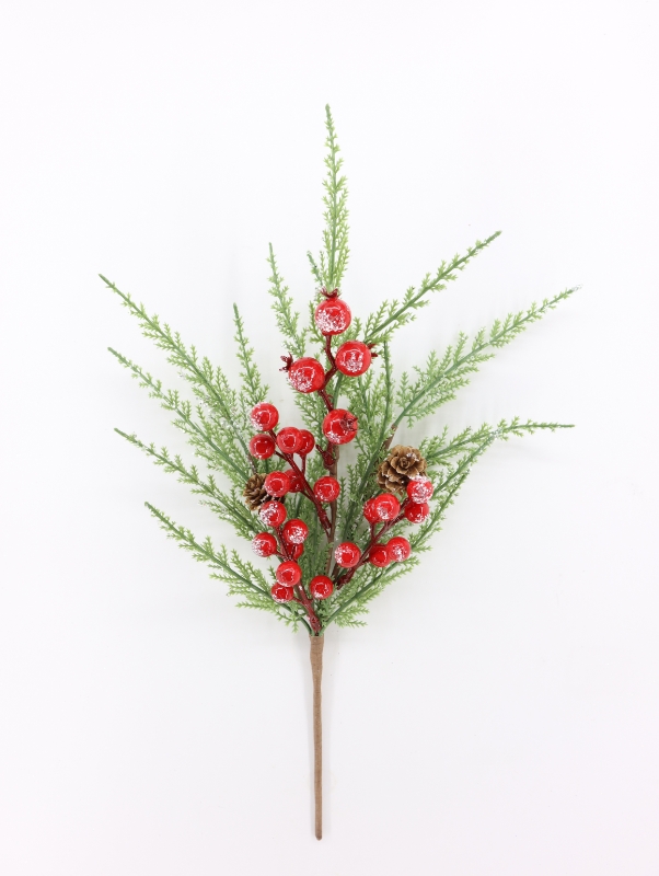 Christmas red fruit