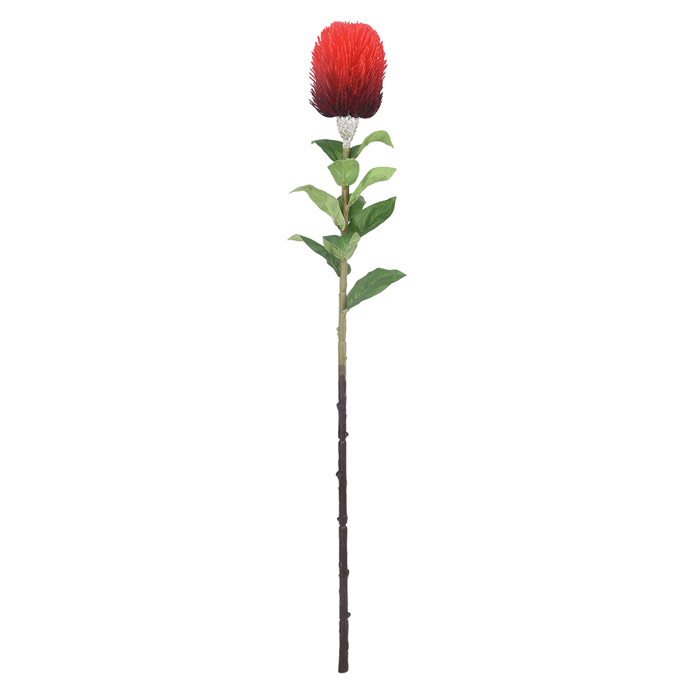 Artificial Banksia Single Stem