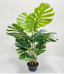 Artificial Plant