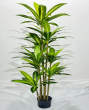 Artificial Plant