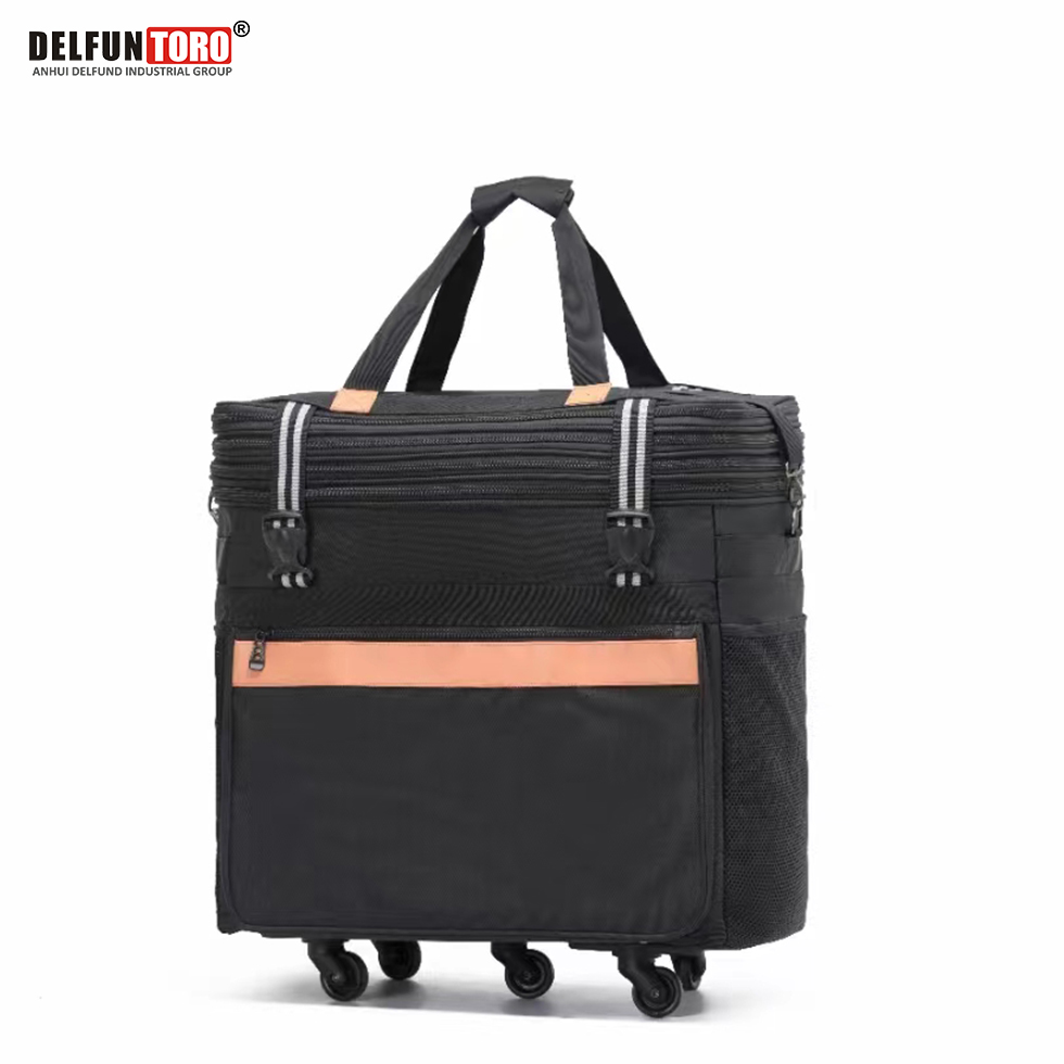 Expandable Rolling Bag, DELFUN TORO