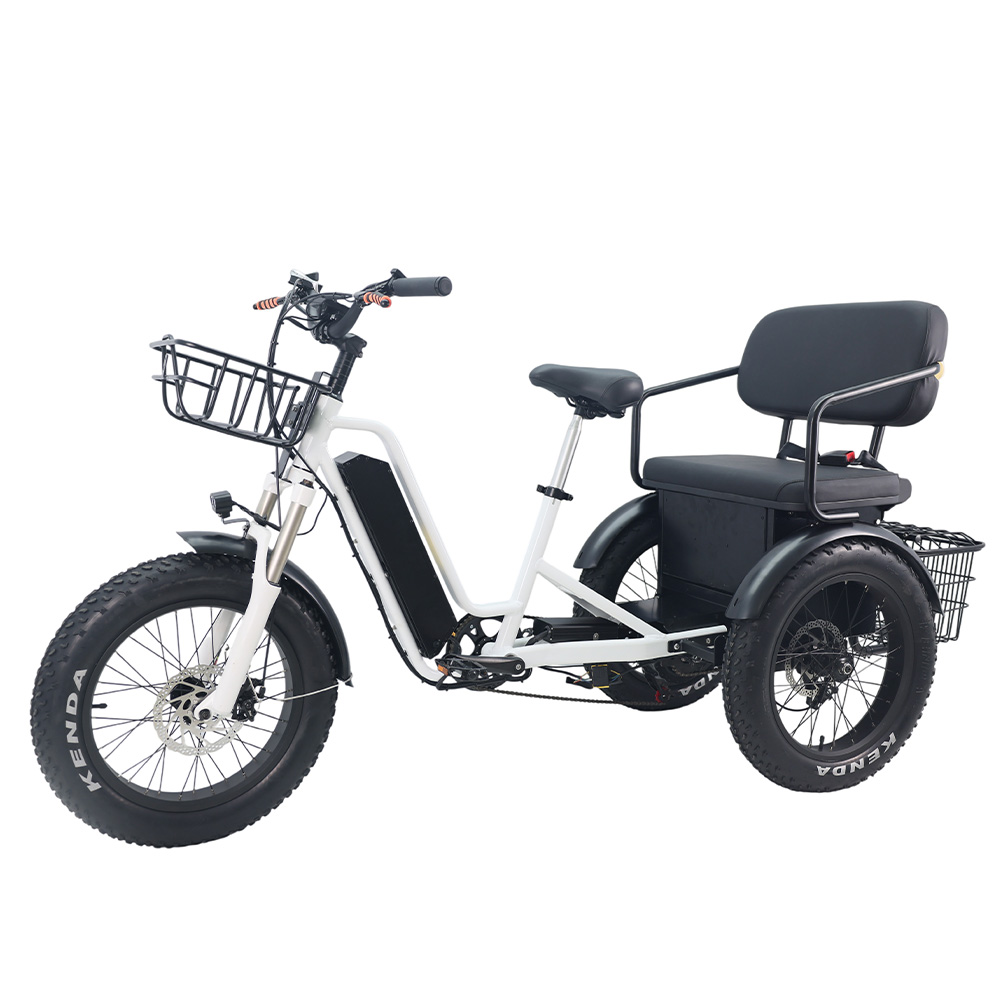 20-inch 350-watt motor electric tricycle passenger