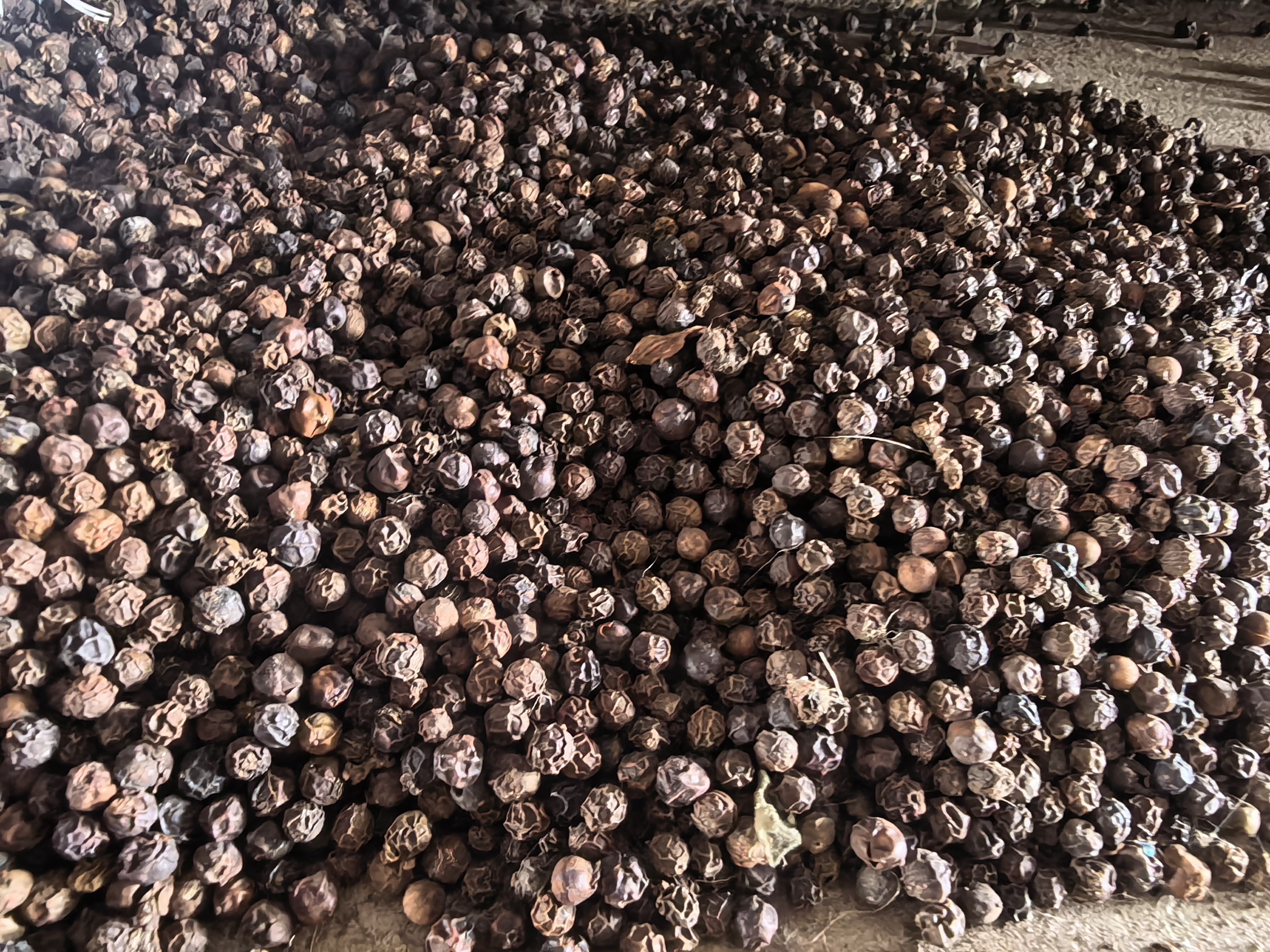 black pepper