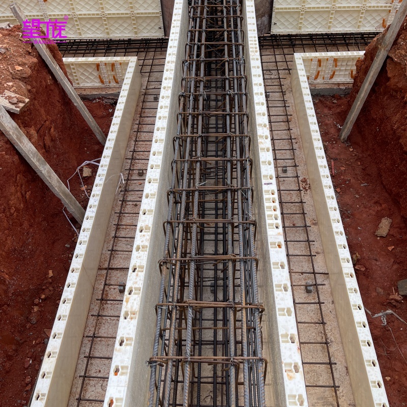 Wangzu ightweight Plastic Shuttering Formwork