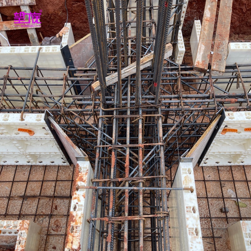 Wangzu Durable Plastic Formwork for Wall & Column