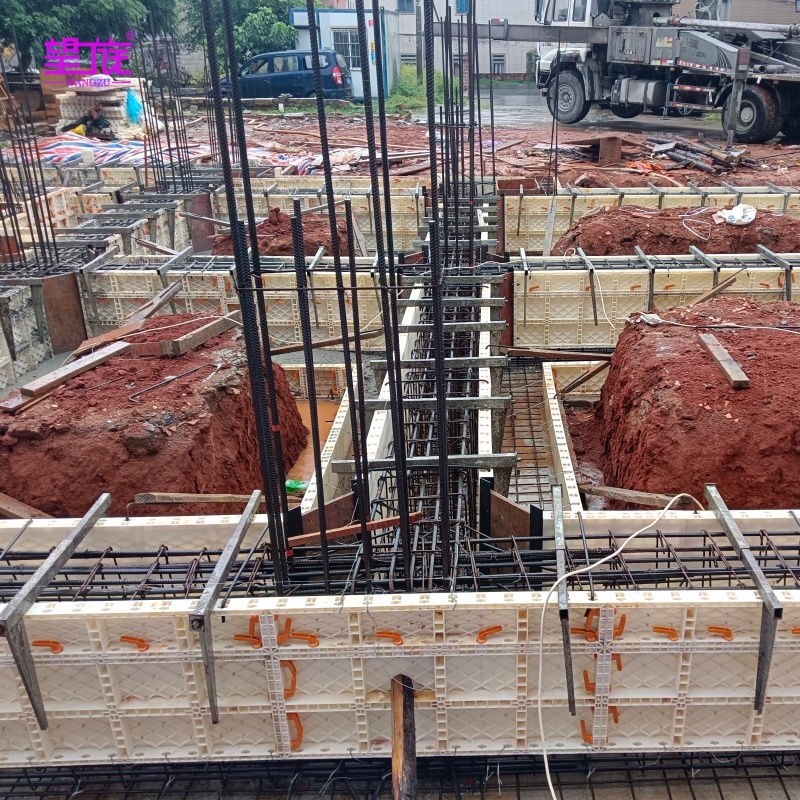 Wangzu Plastic Building Formwork for Concrete Construction