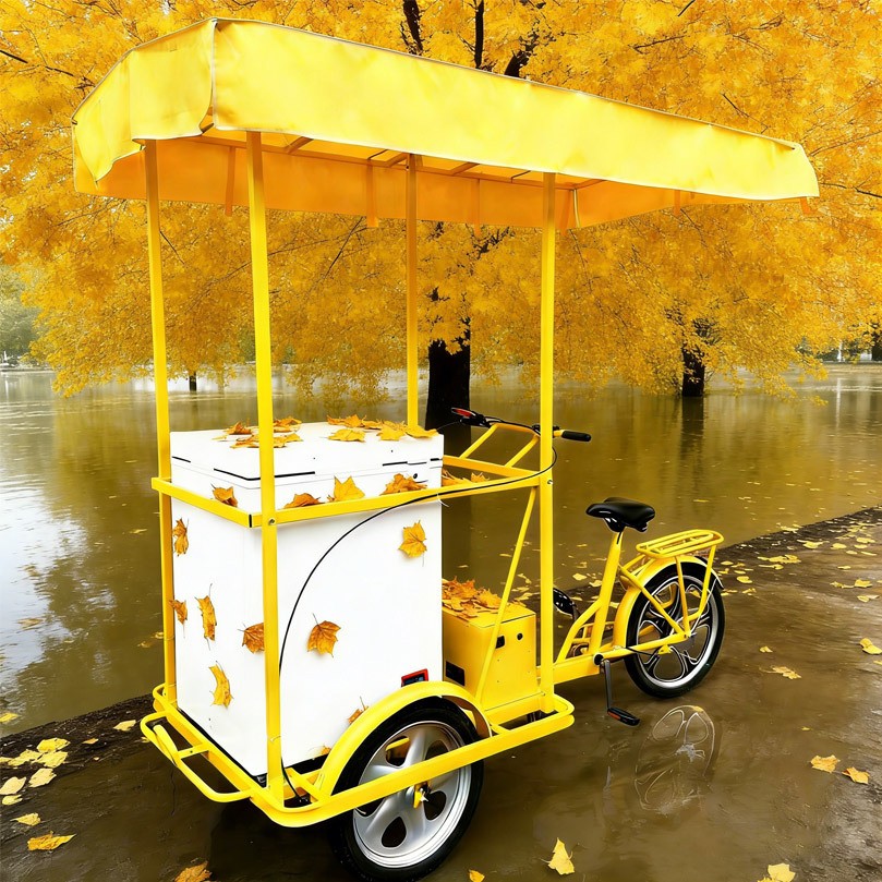 108L Refrigerated Market Tricycle for Frozen Food & Ice Cream | Electric Convertible OEM ODM SKD CKD