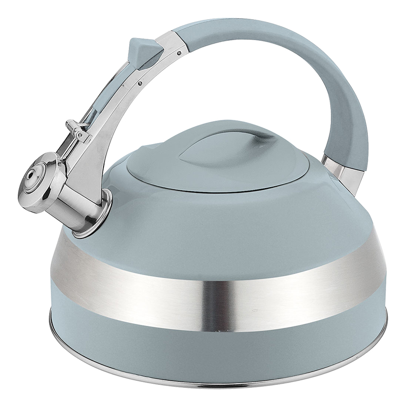 Realwin stainless steel whistling kettle
