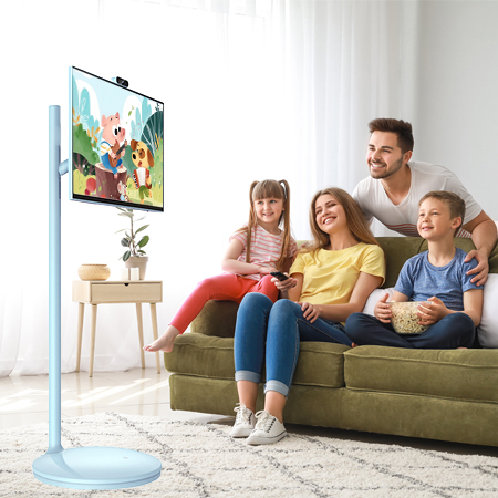 FreeView Companion Screen