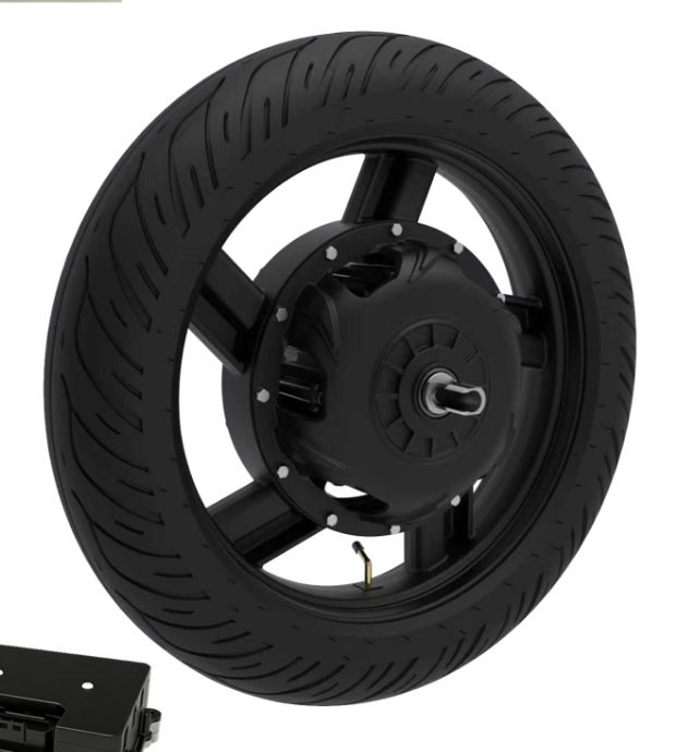 Electric vehicle wheel hub motor assembly