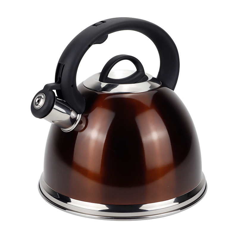 Realwin 3L stainless steel whistling kettle