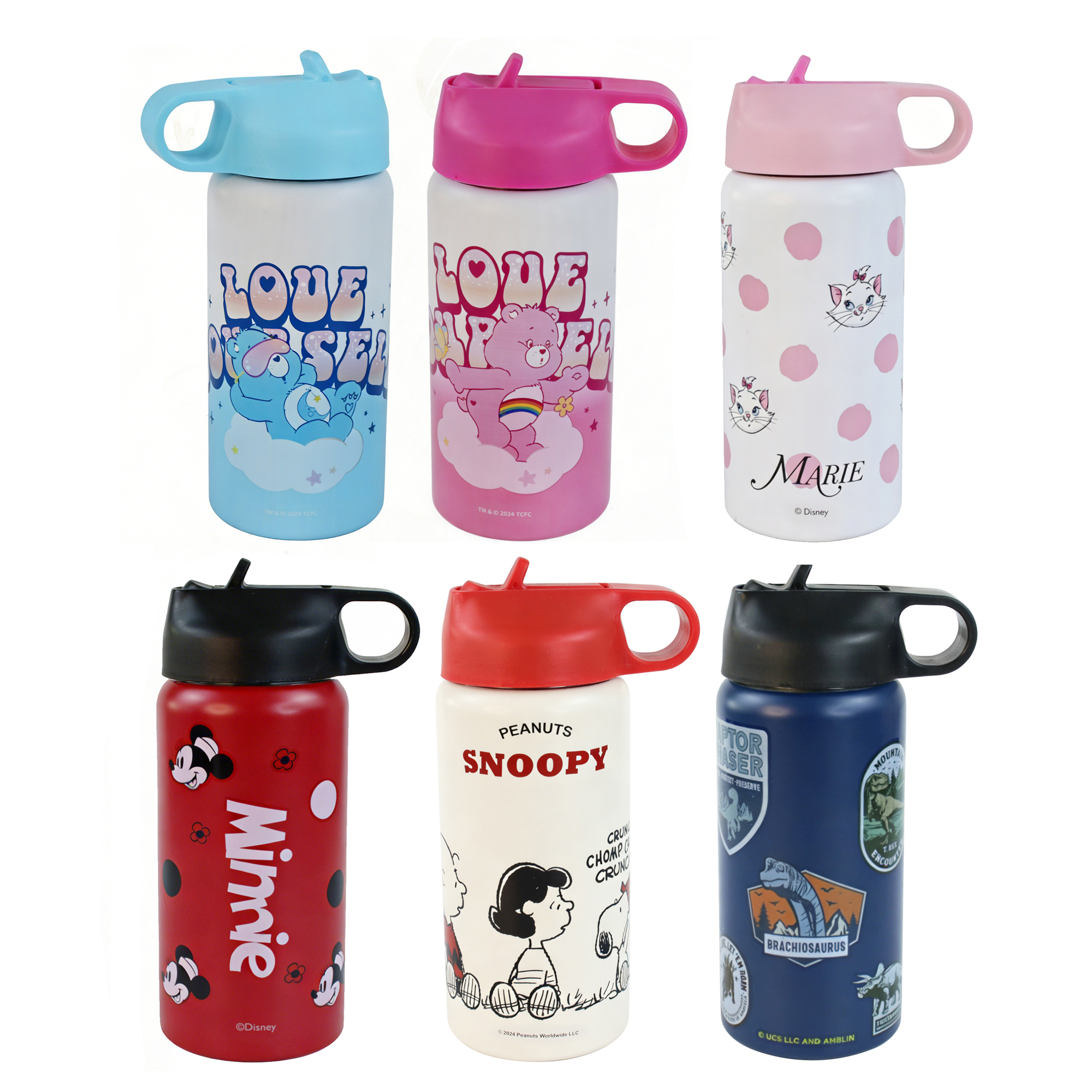 550ML Single Layer Stainless Steel Bottle