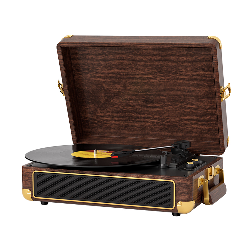Vinyl turntable Record Player