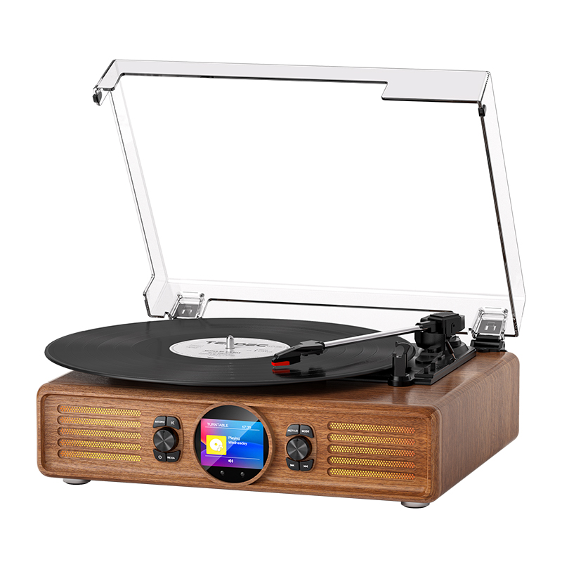 Vinyl turntable Record Player