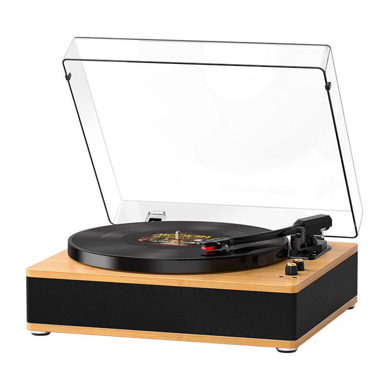 Vinyl turntable Record Player