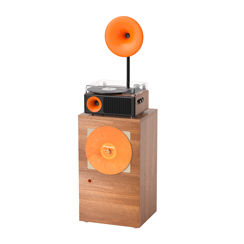 Vinyl turntable Record Player