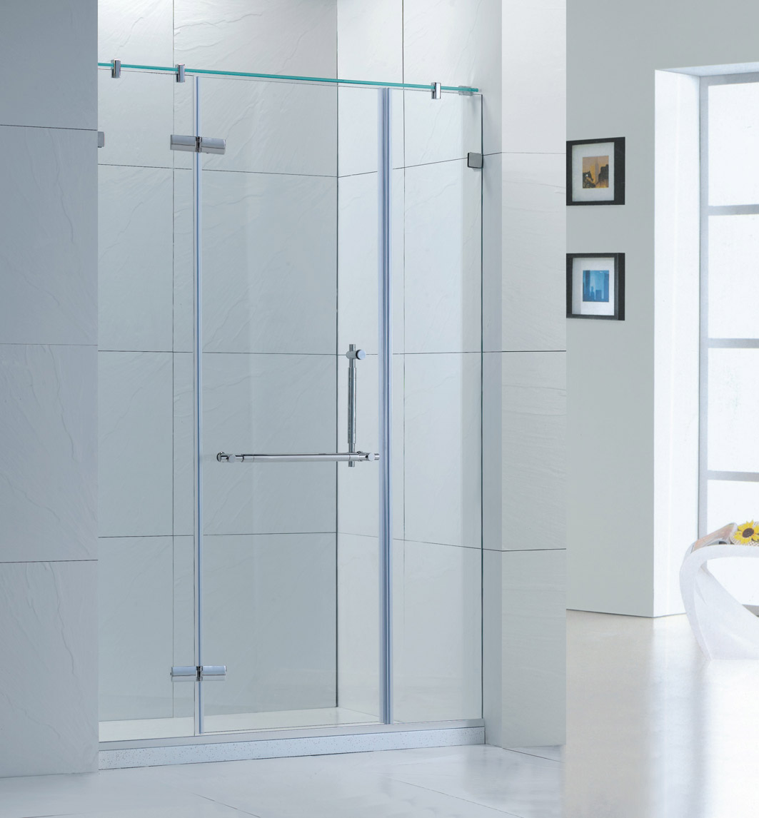 Shower door