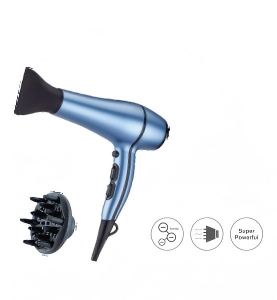 Professional Hair Dryer