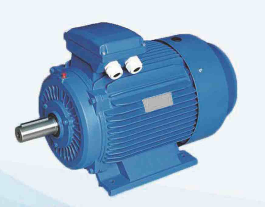 Electric motor