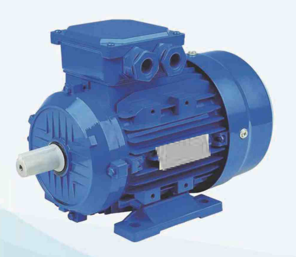 Electric motor