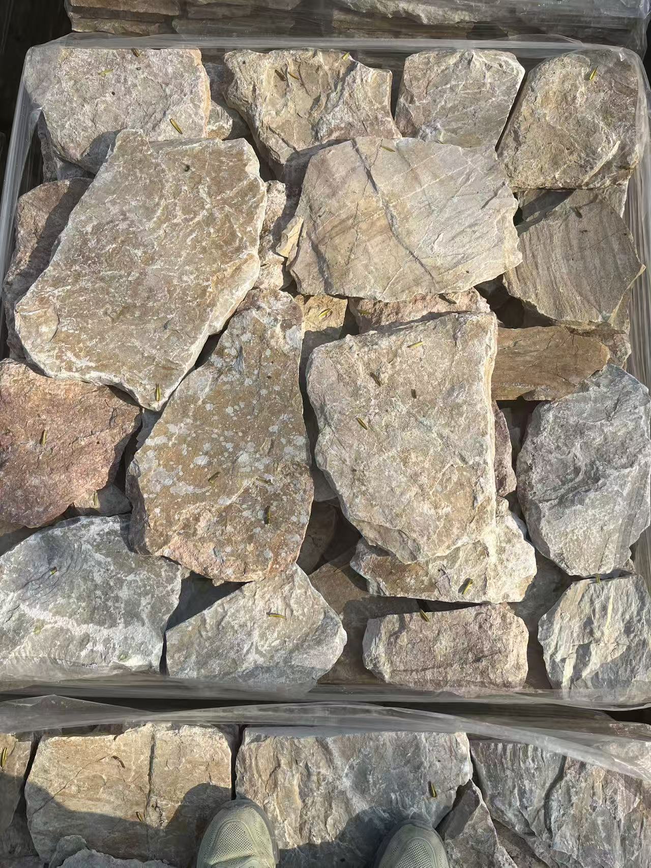 crazy stones