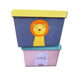 gift box,packaging box